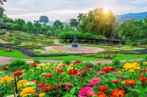 10 Tempat Wisata di Solo Paling Hits dan Instagramable