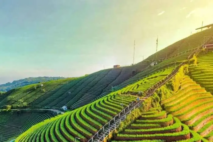 8 Objek Wisata di Majalengka yang Seru untuk Liburan